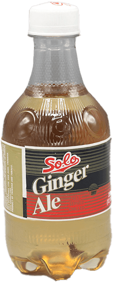 Ginger Ale Dry Drink